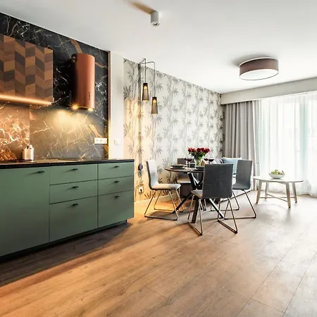 Plac Litewski Premium Apartment *