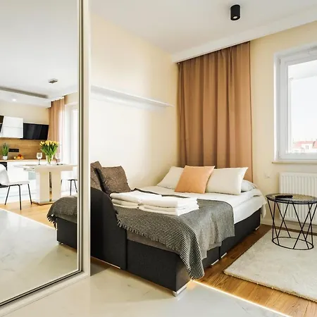 Plac Litewski Premium Apartment *