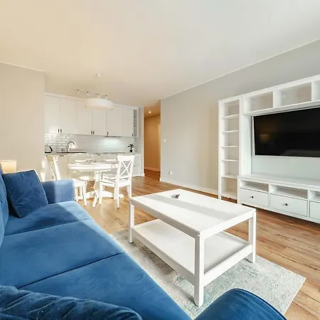 Apartment Plac Litewski Premium *