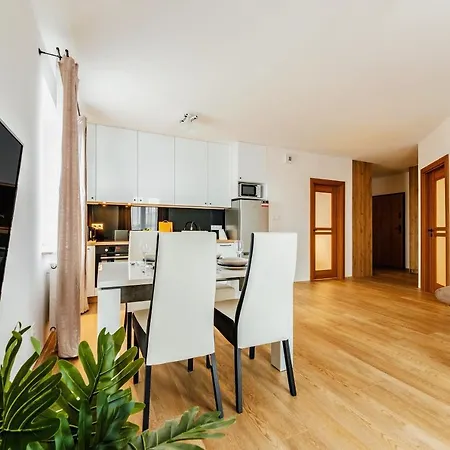 Plac Litewski Premium Apartment *