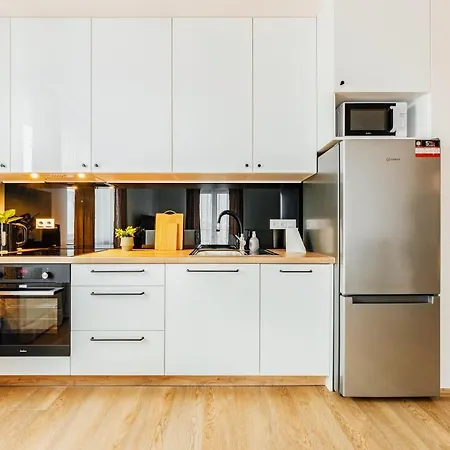 Apartment Plac Litewski Premium *