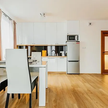 Apartment Plac Litewski Premium *