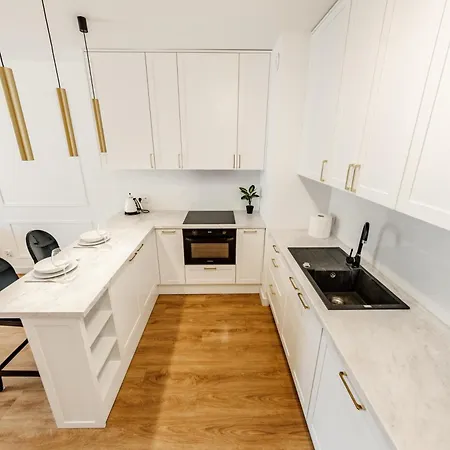 Lägenhet Plac Litewski Premium 3*